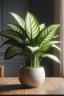 Dieffenbachia ծաղիկների | ծաղկեպսակների առաքում Երևան