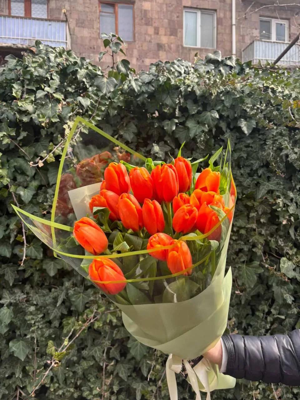 Orange tulips | ծաղիկներ, ծաղկեպսակներ, բույսեր Երևան