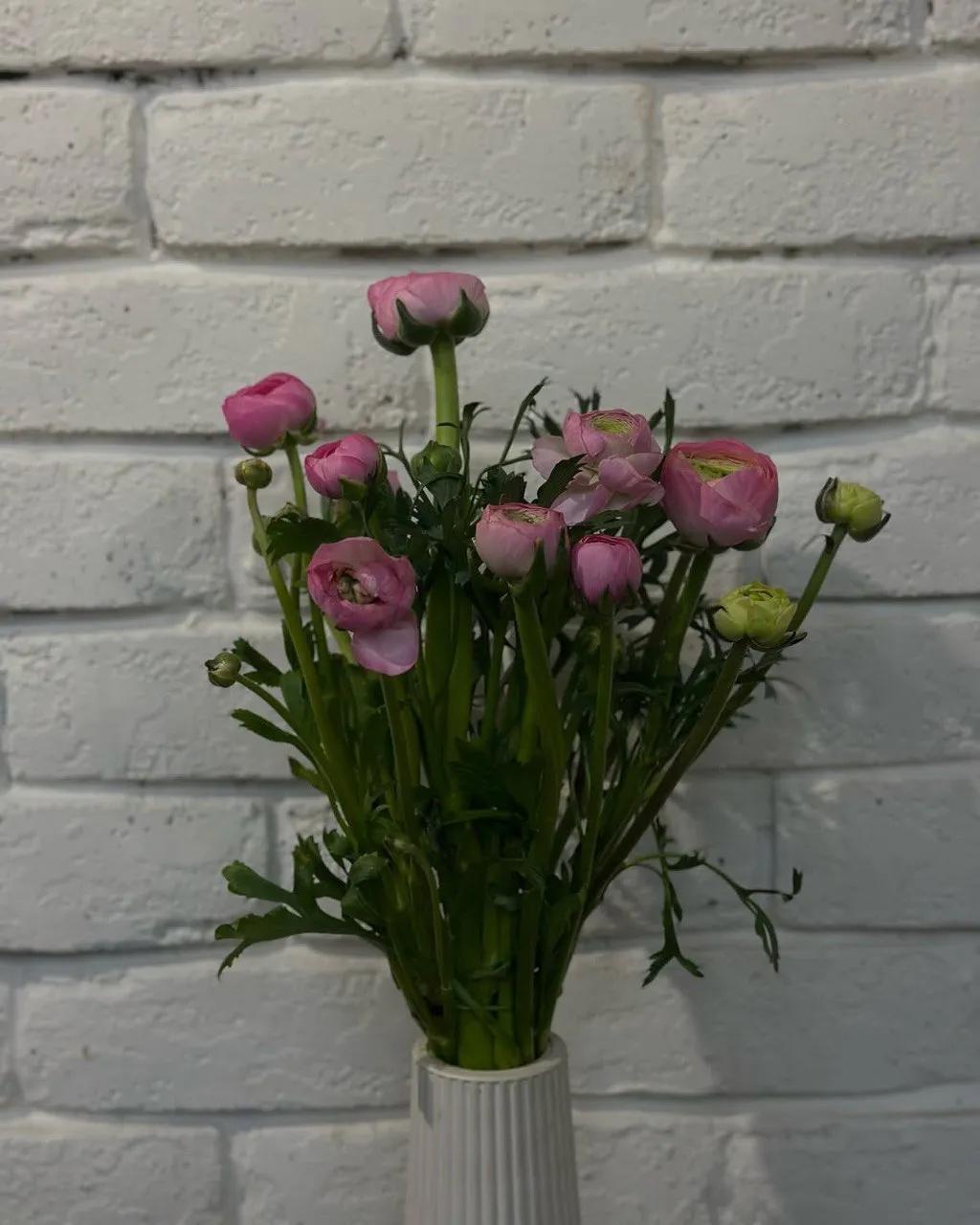 Pink Ranunculus | ծաղիկներ, ծաղկեպսակներ, բույսեր - առաքում Երևան