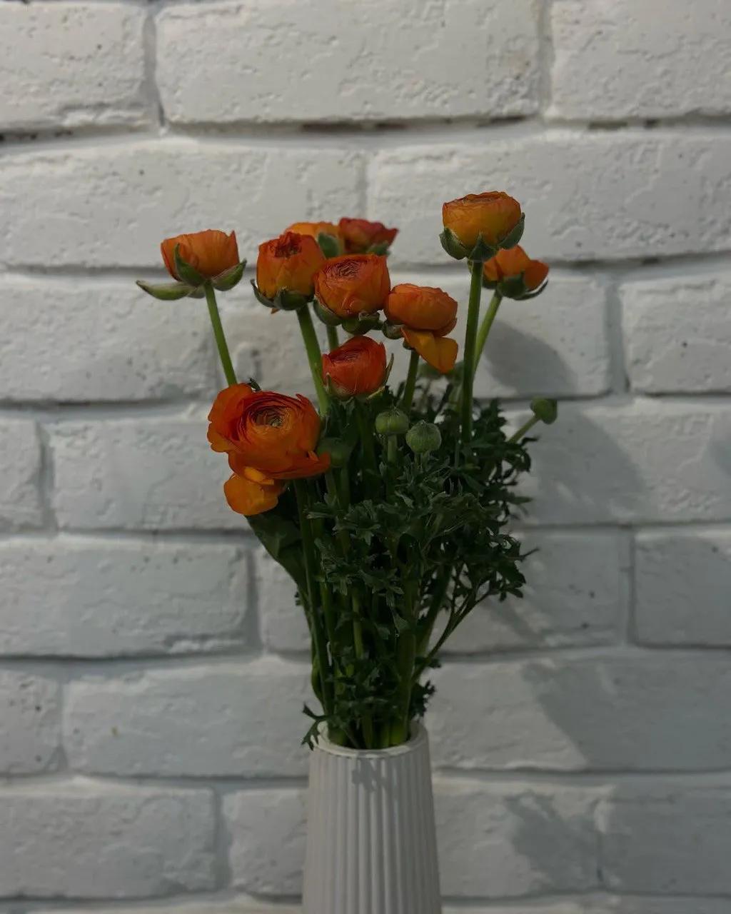 Orange Ranunculus | ծաղիկներ, ծաղկեպսակներ, բույսեր - առաքում Երևան