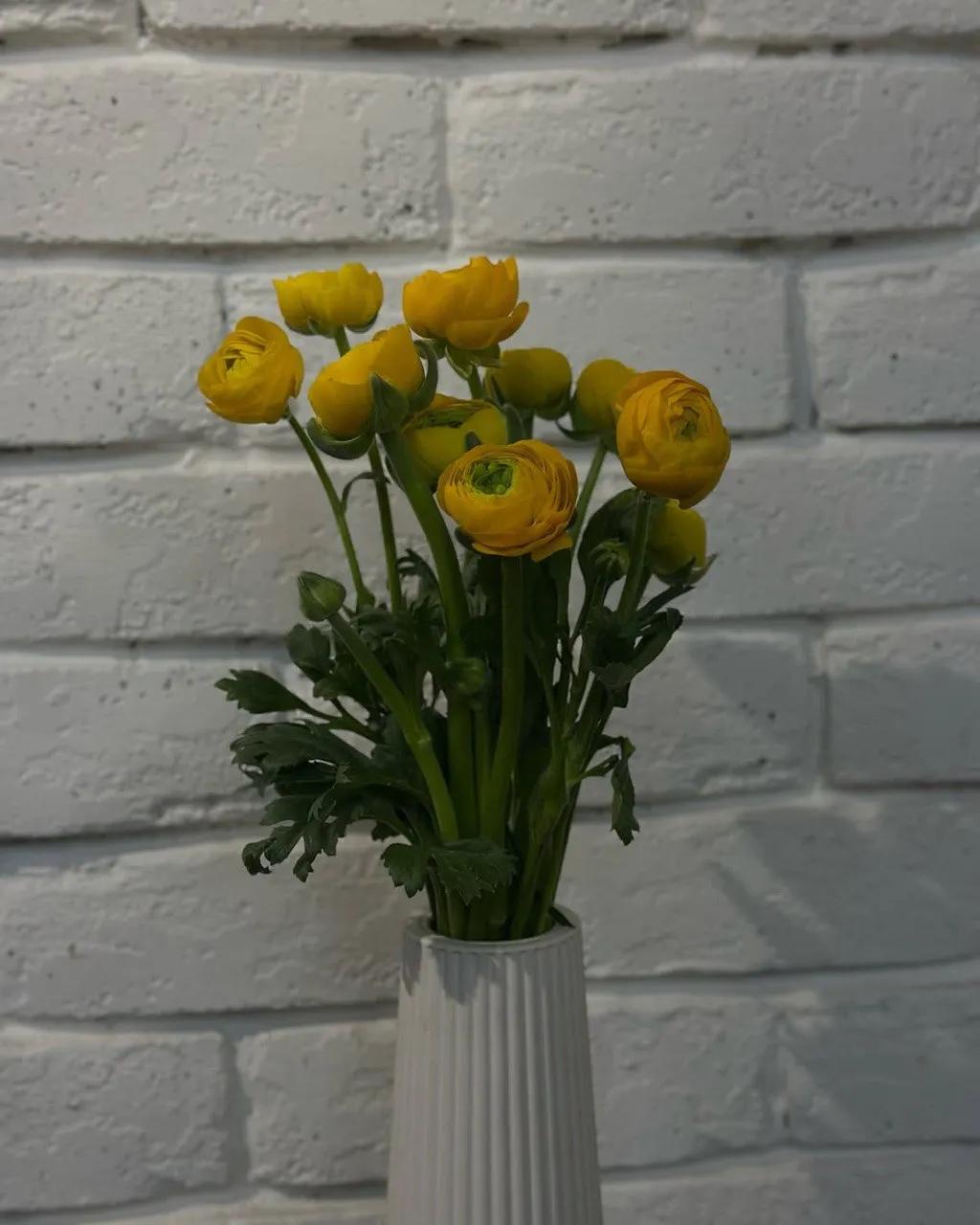 Yellow Ranunculus | ծաղիկներ, ծաղկեպսակներ, բույսեր Երևան