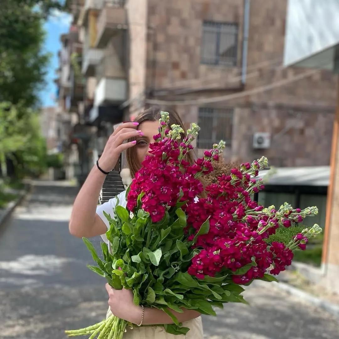 Pink Delphinium | ծաղիկներ, ծաղկեպսակներ, բույսեր Երևան