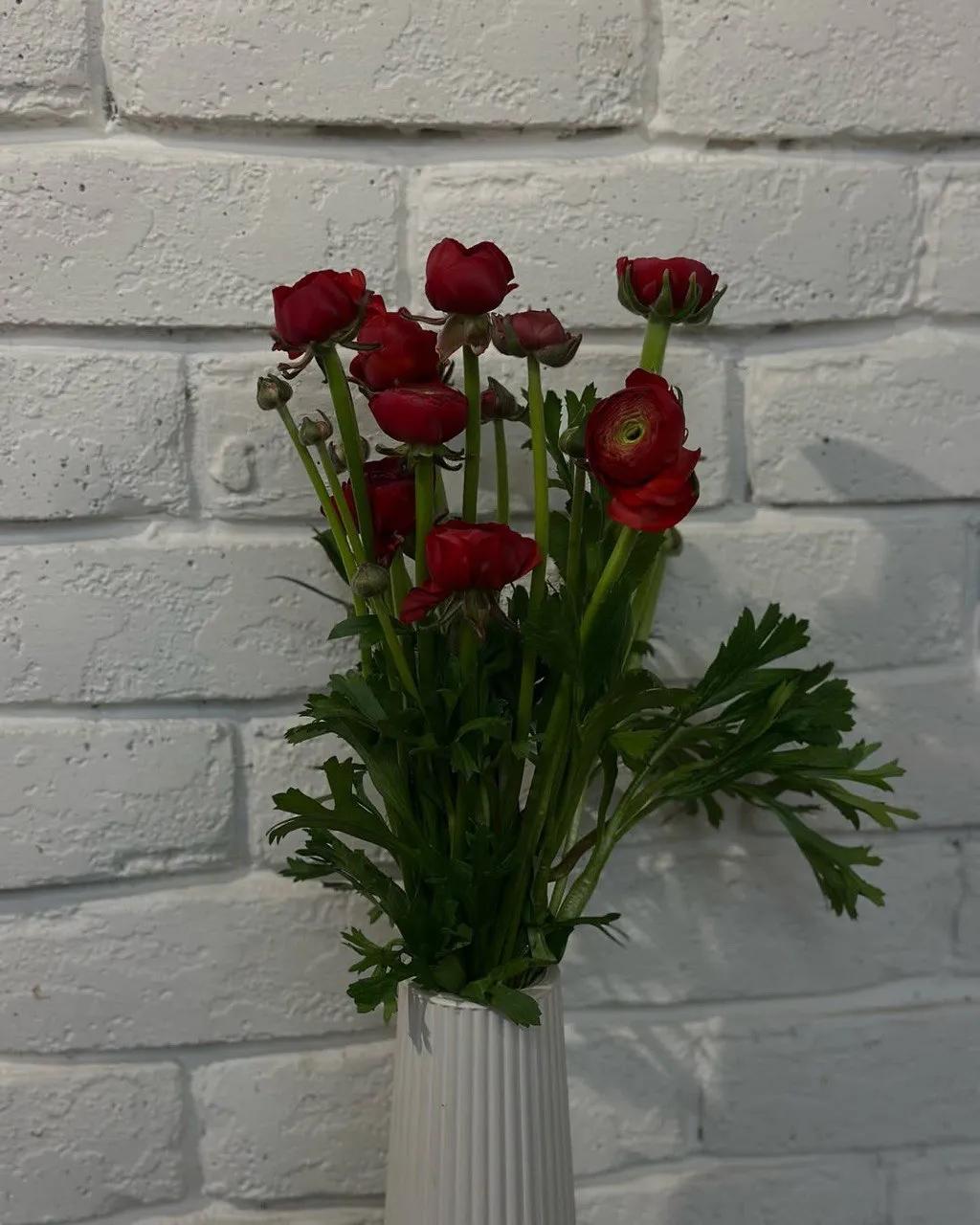 Red Ranunculus | ծաղիկներ, ծաղկեպսակներ, բույսեր - առաքում Երևան