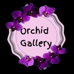 Orchid Gallery ծաղիկների | ծաղկեպսակների առաքում Երևան Orchid Gallery ծաղիկների | ծաղկեպսակների առաքում Երևան